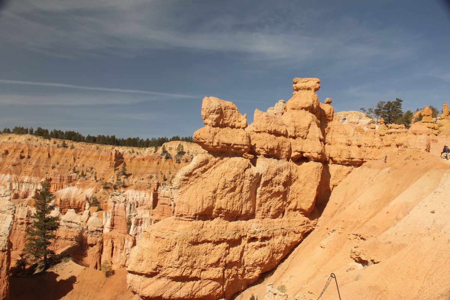 Queens/Navajo 